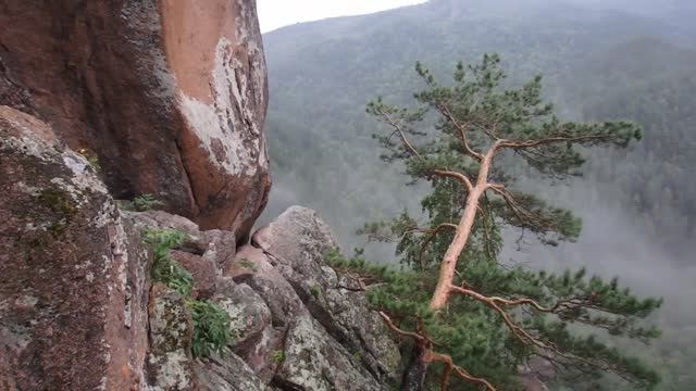 Траверс по скале "Позвонки" 31.07.20 смотреть онлайн