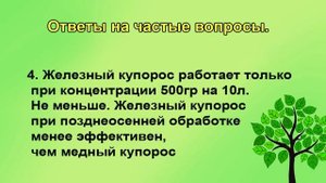 Секреты успешной обработки сада в октябре: ответы на вопросы