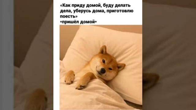 Жиза! смотреть онлайн
