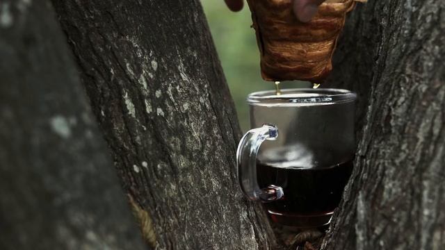 소박한 프레셔스 백패킹 텐트 | 비화식 미니멀 캠핑 | Tent Camping in the Forest | Backpacking | camping korea