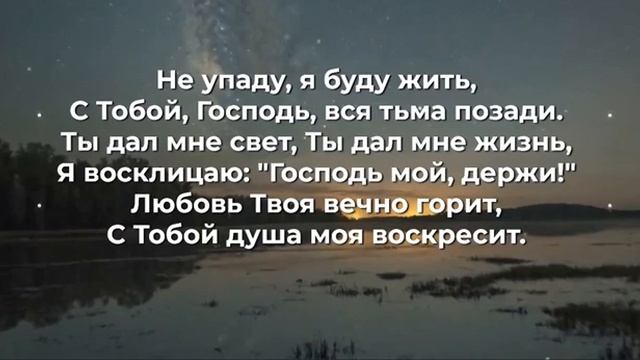 Не упаду, я буду жить  ( И.И.)