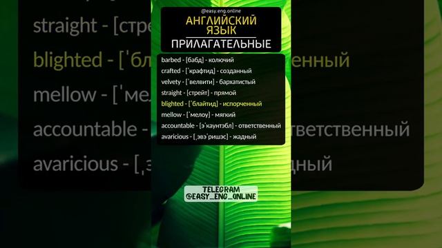 🔖🇬🇧АНГЛИЙСКИЙ ДЛЯ ВСЕХ🎈Слова на английском, которые должен знать каждый🔖
