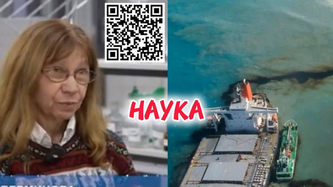 МНЕНИЕ СПЕЦИАЛИСТА о ЗАГРЯЗНЕНИИ ЧЁРНОГО МОРЯ МАЗУТОМ #Анапа #море