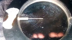 Школьная камера Вильсона в действии