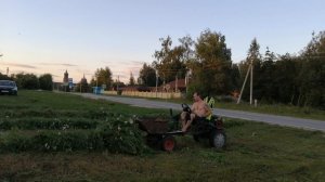 Передний адаптер для мотоблока Ока. Сдвигаю траву в кучи.