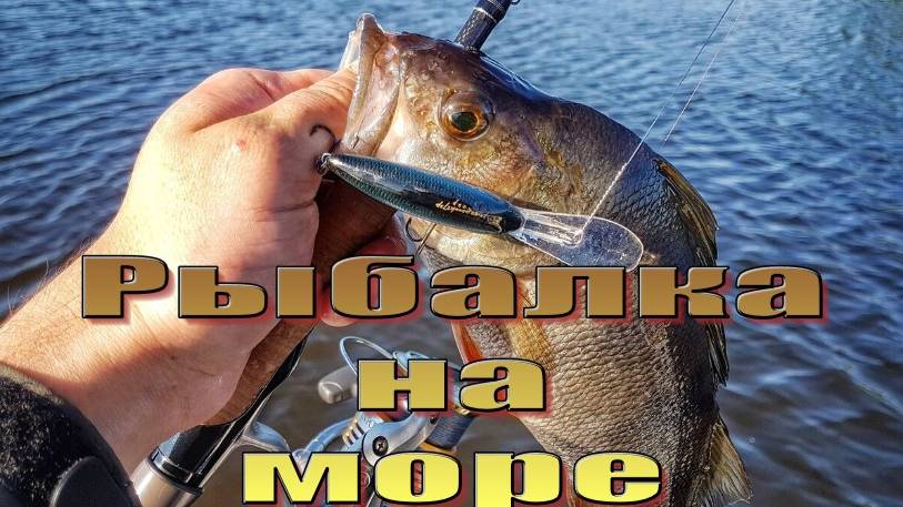 Летний отдых и рыбалка на море в Каспийске, Дагестан.