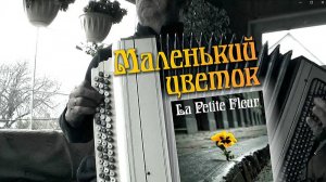 Маленький цветок (La Petite Fleur) _на баяне