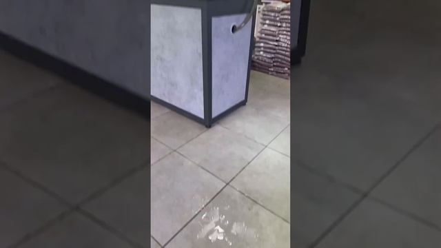 У Вас из незваных гостей, кто-то попадал в аквариум❓ #aquarium #аквариум #аквариумдома #fishtank смотреть онлайн