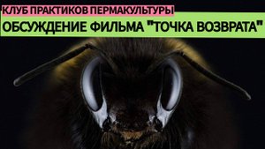 ПЧЕЛЫ ХОТЯТ, ЧТОБЫ ВЫ ЭТО ЗНАЛИ. Обсуждение фильма "Точка возврата" с одним из его создателей