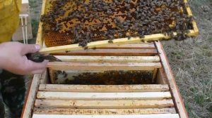 ПЕРВОЕ ПРОТИВОРОЕВОЕ МЕРОПРИЯТИЕ- СТАВЛЮ ВТОРЫЕ КОРПУСА