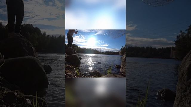 щука срезала флюр #fishing #fishingvideo #рыбалка