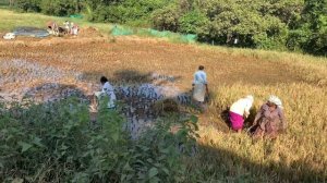 «Семь секунд» Индия, жизнь простых людей. Документальный фильм об Индии. Часть 1. 2019/2020 год.