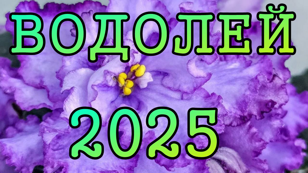 ВОДОЛЕЙ таро прогноз на 2025 год по месяцам.
