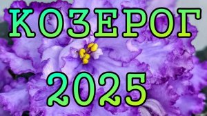 КОЗЕРОГ таро прогноз на 2025 год по месяцам.