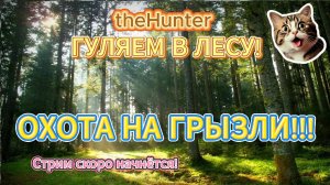 theHunter  #13 Гуляем в лесу! ОХОТА НА ГРЫЗЛИ!!!