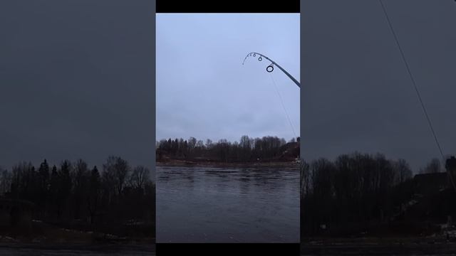 утка вместо лосося #fishing #рыбалка