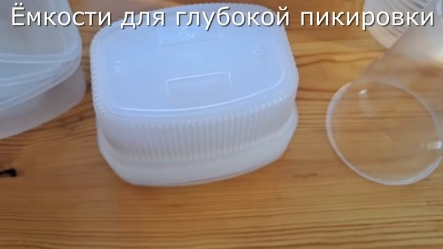 Способ глубокой пикировки рассады томатов