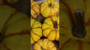 фаршированная тыква с гречкой