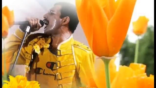 FREDDIE MERCURY - " HAPPY BIRTHDAY" IN MEMORIAN - 5 SEPTEMBER 2013 смотреть онлайн