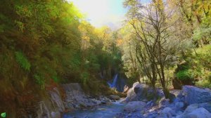 Нежная музыка успокаивает нервную систему и радует душу 🌿 Целебная музыка для сердца и крови