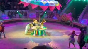 Новогодняя цирковая программа,девочка и слон"#Нижнийтагил