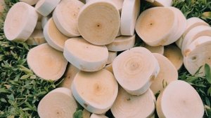 торцевые спилы