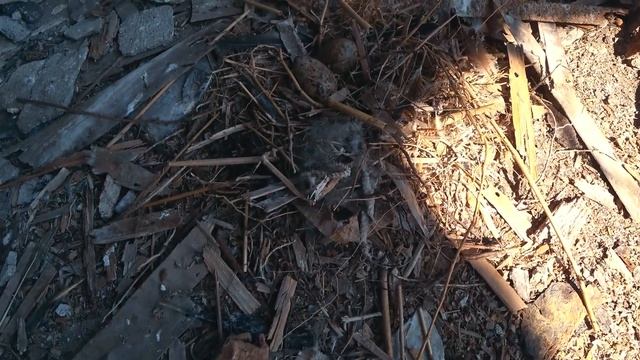 8 ЦЕХ ЗАВОДА "ДАГДИЗЕЛЬ" ЗАБРОШЕННЫЙ ТОРПЕДНЫЙ ЗАВОД СССР.