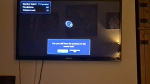 Samsung Plasma TV Sound Test