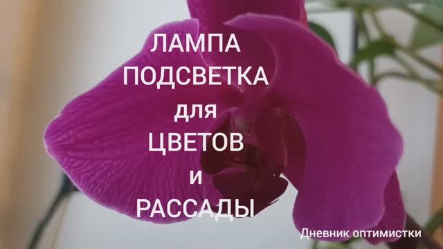 ЛАМПА ПОДСВЕТКА ДЛЯ ЦВЕТОВ И РАССАДЫ, СОБРАЛА САМА