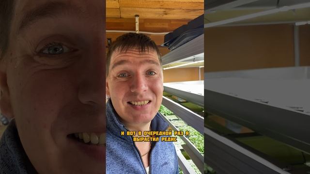 Вырастил редис в квартире