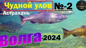 Итоги рыбалки на низовьях Волги в Астрахани !!