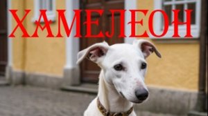 «Хамелеон» – аудиорассказ для 7 класса. Чехов о человеческой двуличности