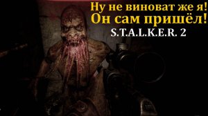 Зачищаем базу бандитов в Stalker 2/Сталкер 2 - Прохождение часть 26