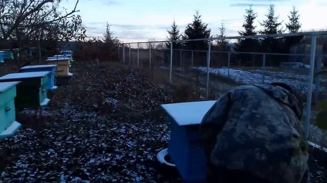Обработка пчелосемей бипином, подготовка к зимовке. смотреть онлайн