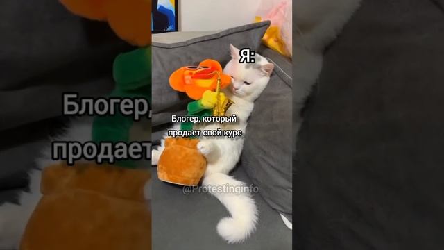 Купите #курс ! #тестировщик #тестировщикснуля #войтивайти #продажи #shorts #тестированиепо #блогер смотреть онлайн