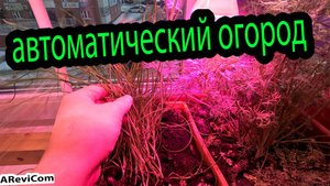 Умный огород круглый год на подоконнике, все на автомате