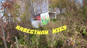 Золотая осень. Навестили избу, подготовили к зимовке.