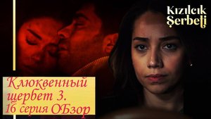 Клюквенный щербет. 16 серия. Обзор