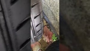 Toyo proxes CF2 185/65 R 15