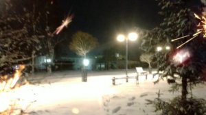 новый 2025 год