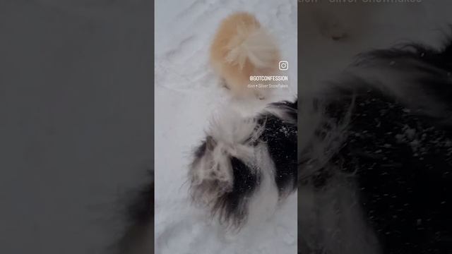 1000081836.mp4