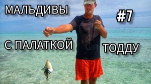 7. Мальдивы с палаткой. Впервые ограбили. Остров Тодду (Thoddoo)