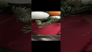 ЧИСТКА ДОМА (КВАРТИРЫ) + ЗАЩИТА
