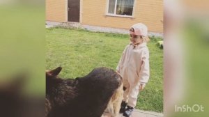 Вредина лайф / Лисёнок