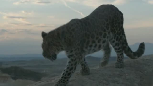 Enigma Feat Aquilo - Amen (White Motive Remix) смотреть онлайн