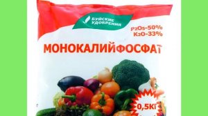 Эффективные меры против вытягивания рассады.