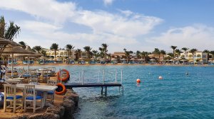 Египет. Макади. Ноябрь 2022