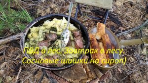 ПВД в лес. Завтрак в лесу. Сосновые шишки на сироп)