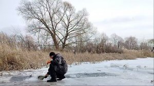 Моржевание, Закаливание