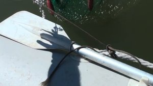 _Малышевская_ протока. День первый.....